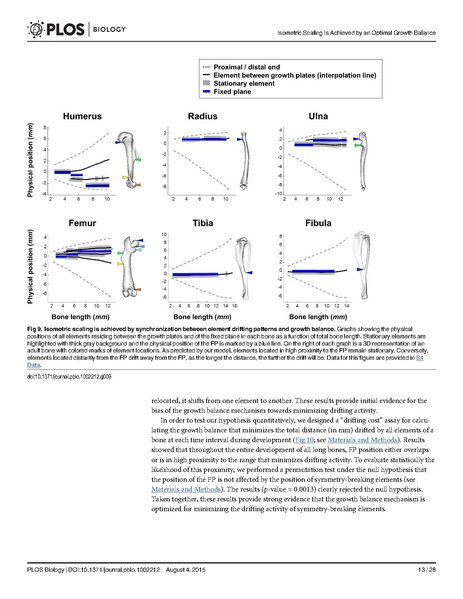 File:Stern-PLoSBiol2015.pdf