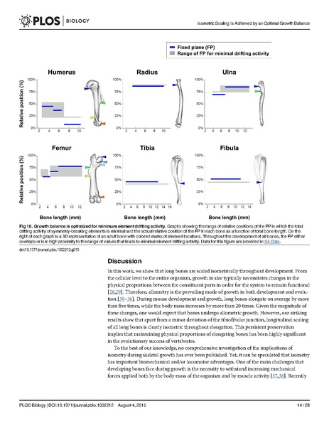 File:Stern-PLoSBiol2015.pdf
