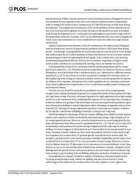 File:Stern-PLoSBiol2015.pdf