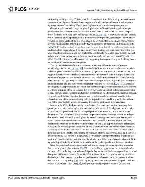 File:Stern-PLoSBiol2015.pdf