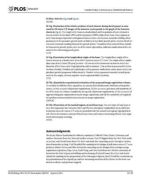 File:Stern-PLoSBiol2015.pdf