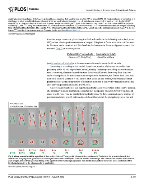 File:Stern-PLoSBiol2015.pdf