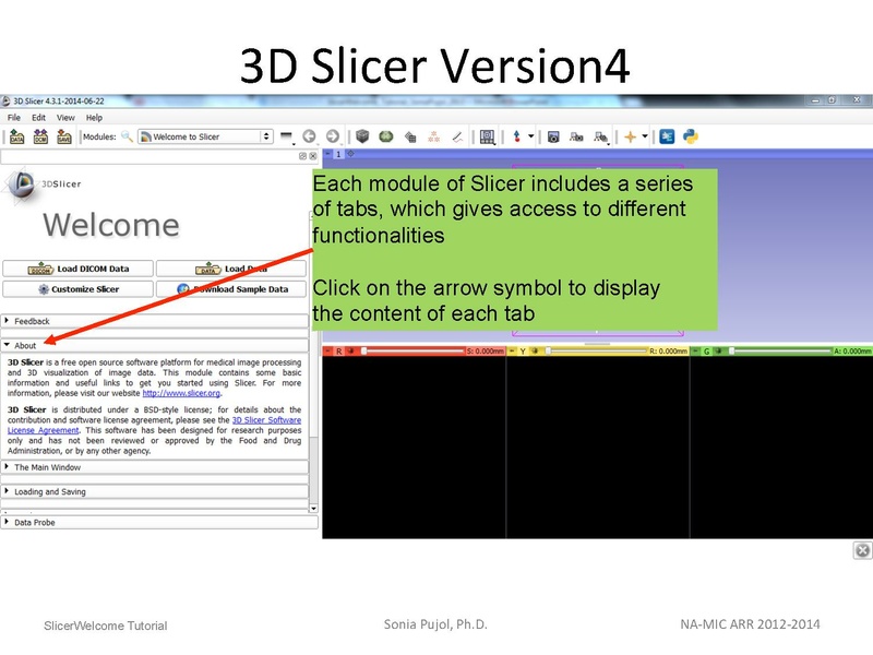 File:3DDataLoadingandVisualization SoniaPujol slicer4.4.pdf