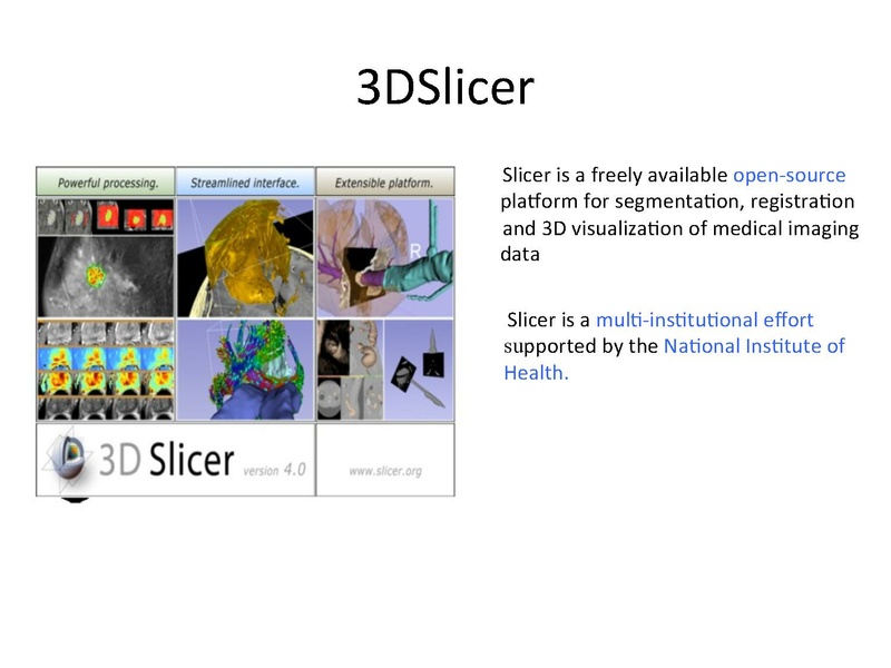 File:3DDataLoadingandVisualization SoniaPujol slicer4.4.pdf