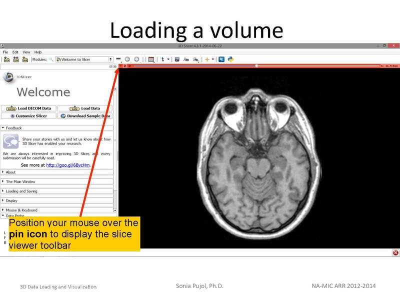 File:3DDataLoadingandVisualization SoniaPujol slicer4.4.pdf