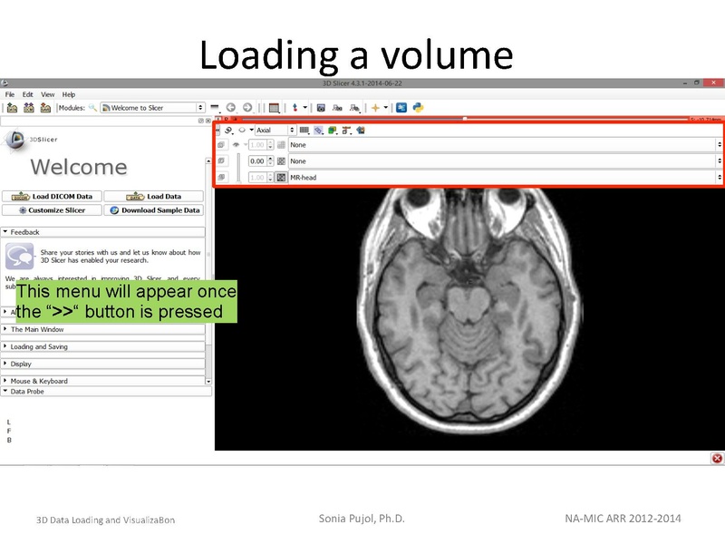 File:3DDataLoadingandVisualization SoniaPujol slicer4.4.pdf