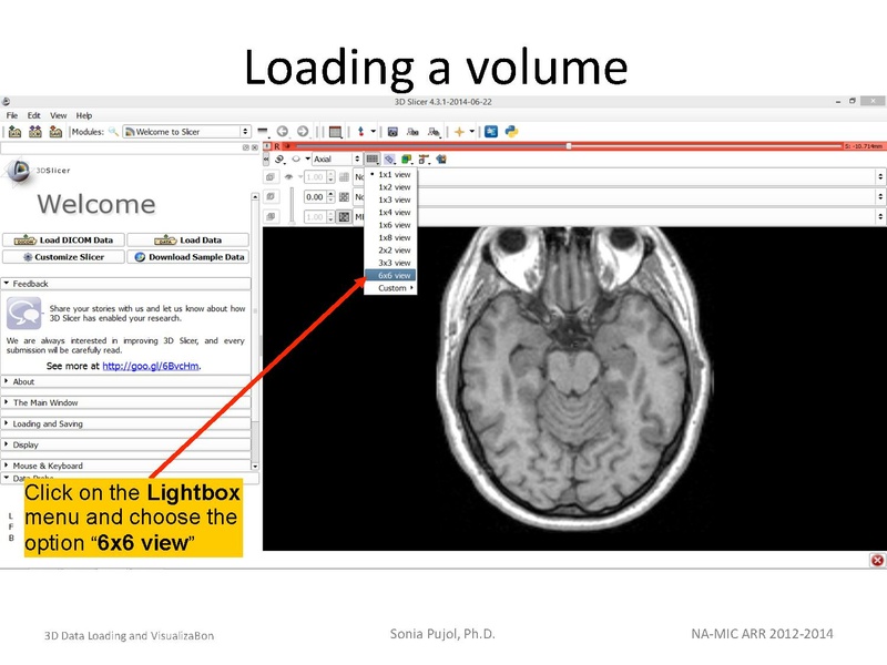 File:3DDataLoadingandVisualization SoniaPujol slicer4.4.pdf