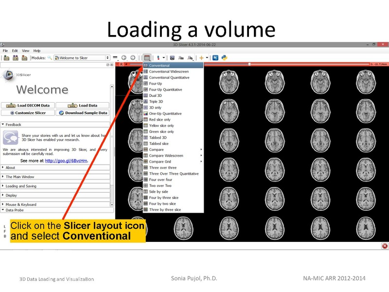 File:3DDataLoadingandVisualization SoniaPujol slicer4.4.pdf