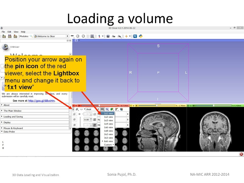 File:3DDataLoadingandVisualization SoniaPujol slicer4.4.pdf