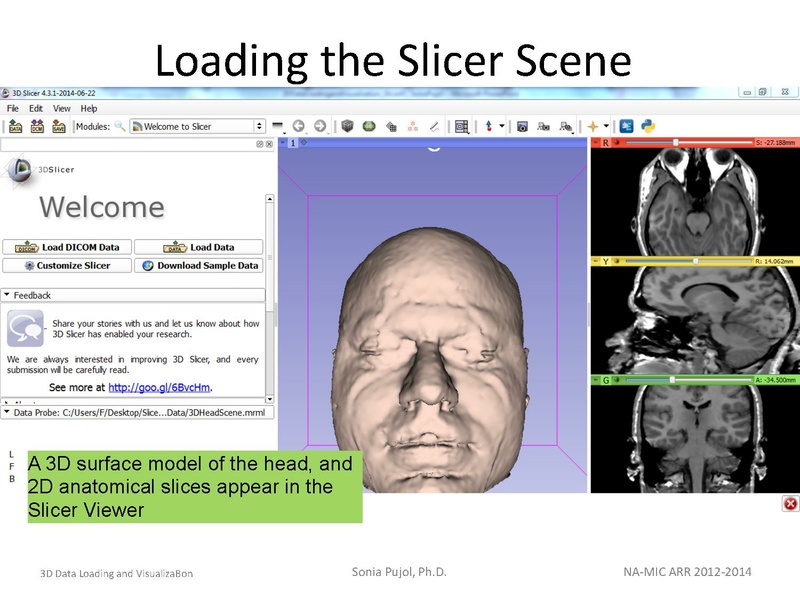 File:3DDataLoadingandVisualization SoniaPujol slicer4.4.pdf