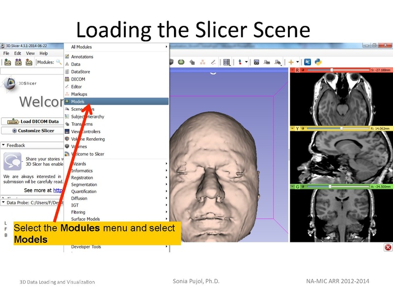 File:3DDataLoadingandVisualization SoniaPujol slicer4.4.pdf