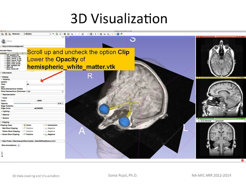 File:3DDataLoadingandVisualization SoniaPujol slicer4.4.pdf