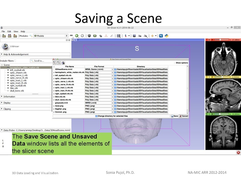 File:3DDataLoadingandVisualization SoniaPujol slicer4.4.pdf