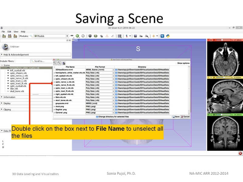 File:3DDataLoadingandVisualization SoniaPujol slicer4.4.pdf