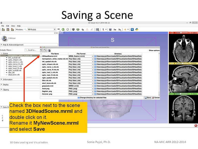 File:3DDataLoadingandVisualization SoniaPujol slicer4.4.pdf