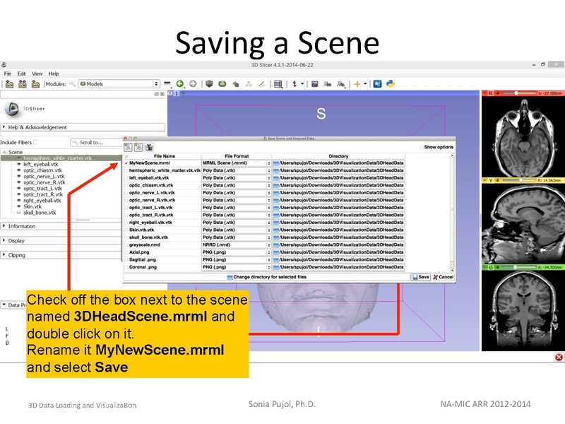 File:3DDataLoadingandVisualization SoniaPujol slicer4.4.pdf