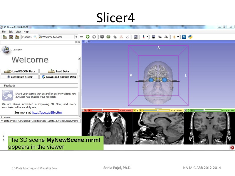 File:3DDataLoadingandVisualization SoniaPujol slicer4.4.pdf