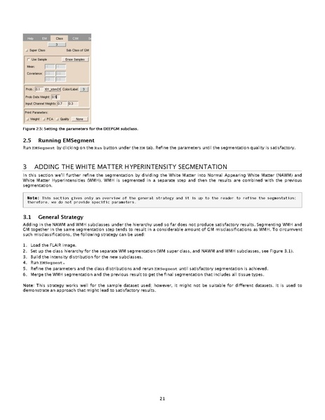 File:2007 EMSegmenterTutorial.pdf