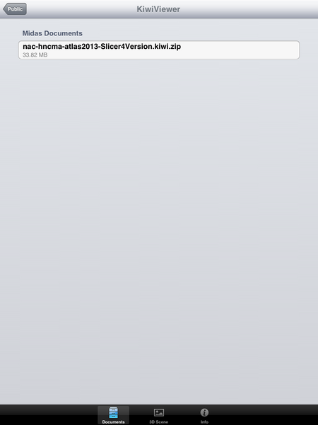 File:SlicerToKiwiExporter Kiwiviewer 6.PNG