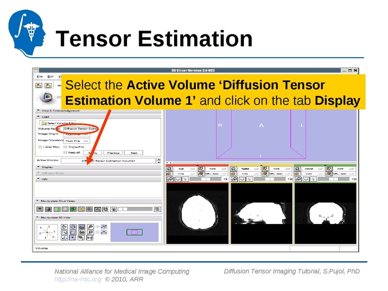 File:DiffusionMRITutorial Slicer3.6 SPujol.pdf