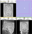 Thumbnail for version as of 22:26, 19 May 2008