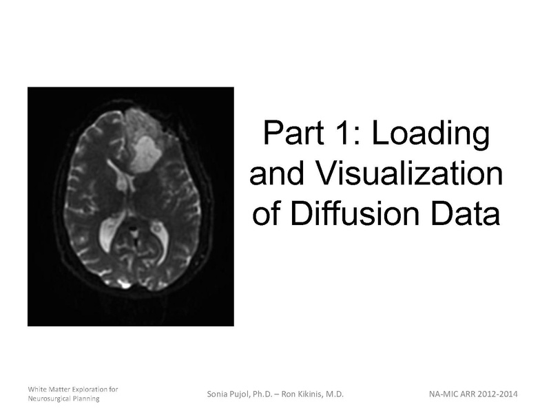 File:WhiteMatterExplorationTutorial SoniaPujol 2013.pdf