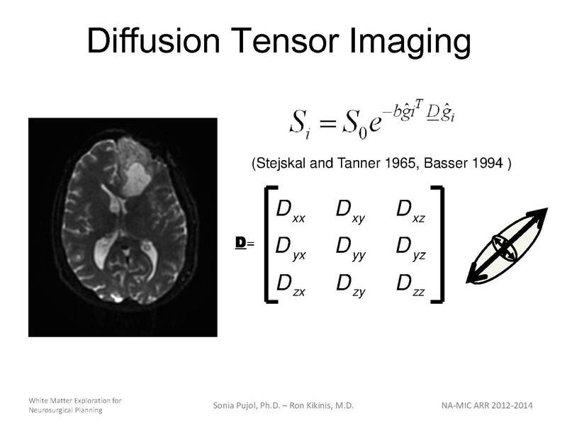 File:WhiteMatterExplorationTutorial SoniaPujol 2013.pdf