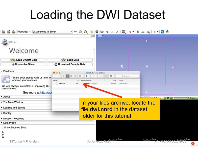 File:DiffusionMRIanalysisTutorial Slicer4.5 SoniaPujol.pdf