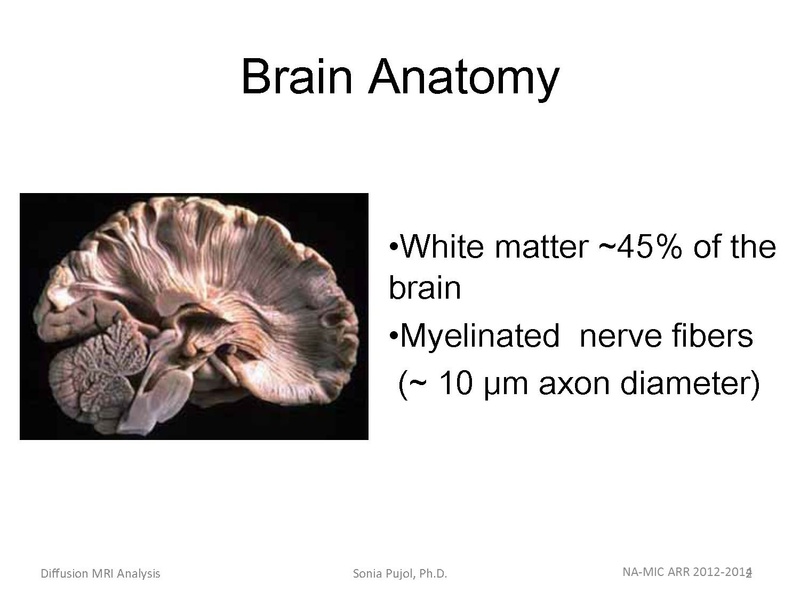 File:DiffusionMRIanalysisTutorial Slicer4.5 SoniaPujol.pdf