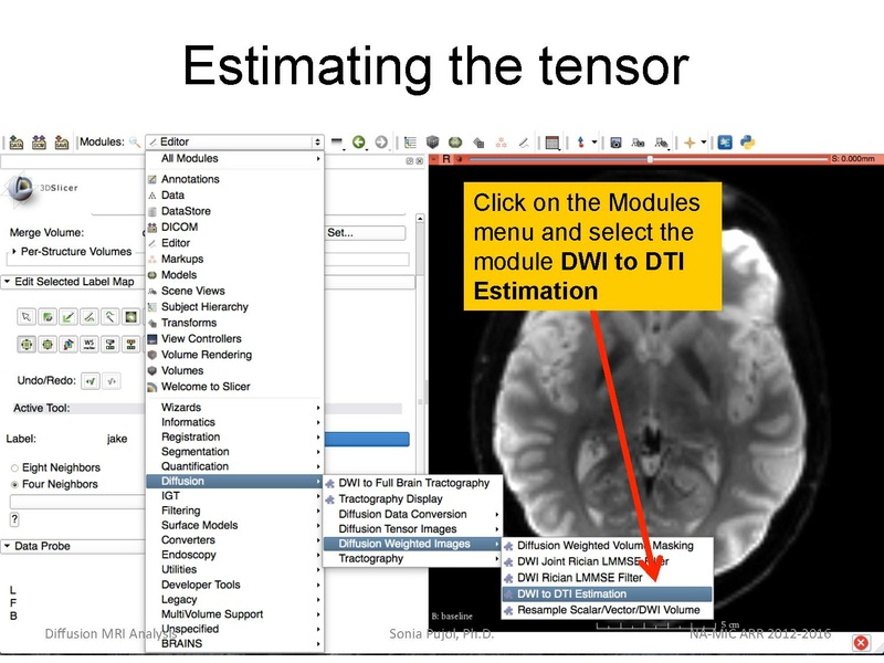File:DiffusionMRIanalysisTutorial Slicer4.5 SoniaPujol.pdf