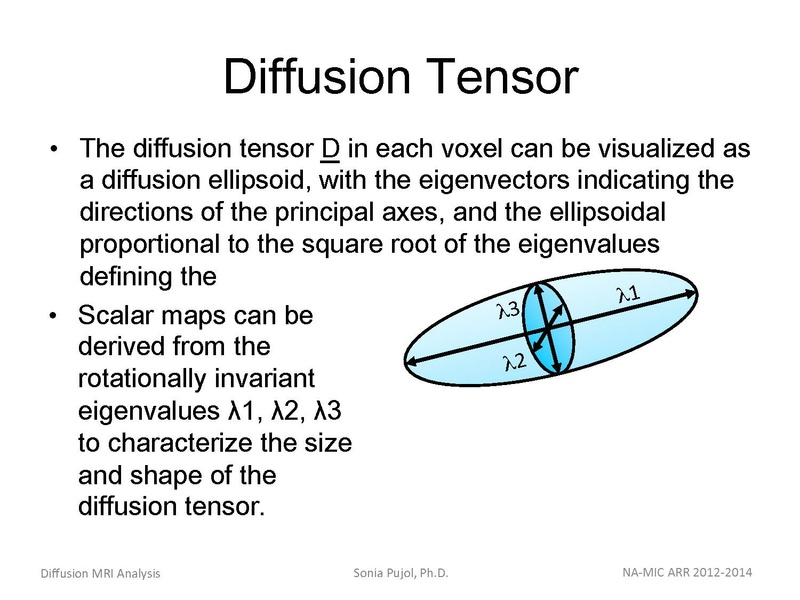 File:DiffusionMRIanalysisTutorial Slicer4.5 SoniaPujol.pdf