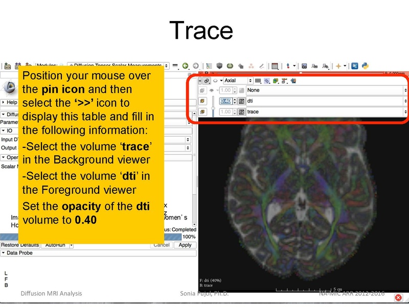 File:DiffusionMRIanalysisTutorial Slicer4.5 SoniaPujol.pdf