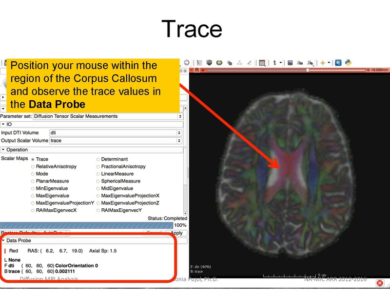 File:DiffusionMRIanalysisTutorial Slicer4.5 SoniaPujol.pdf