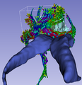 2011-11-12-CroppingWholeBrainTractography-detail.png