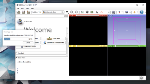 Extension installation progress startup.png