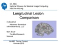 Longitudinal Lesion Comparison TutorialContest 2010.pdf