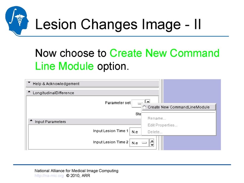 File:Longitudinal Lesion Comparison TutorialContest 2010.pdf