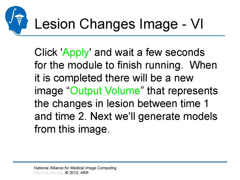 File:Longitudinal Lesion Comparison TutorialContest 2010.pdf
