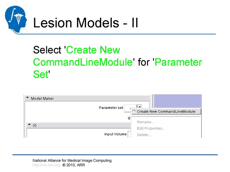 File:Longitudinal Lesion Comparison TutorialContest 2010.pdf
