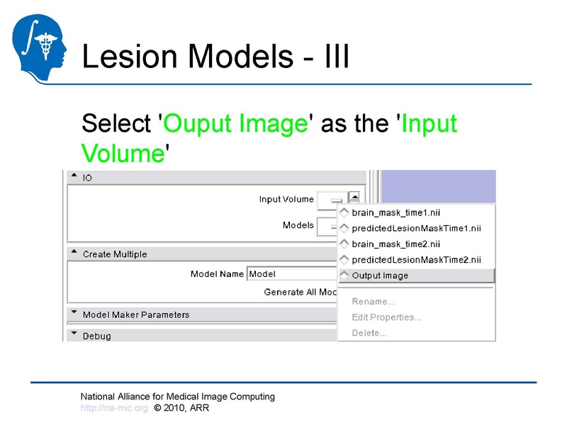File:Longitudinal Lesion Comparison TutorialContest 2010.pdf