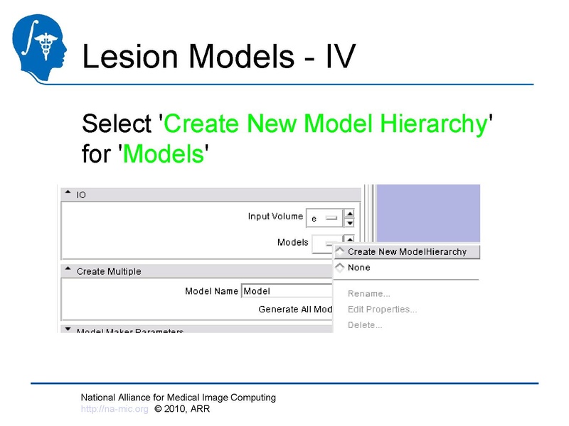 File:Longitudinal Lesion Comparison TutorialContest 2010.pdf