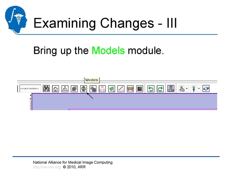 File:Longitudinal Lesion Comparison TutorialContest 2010.pdf