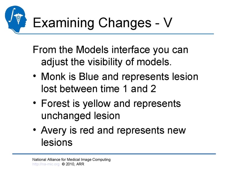 File:Longitudinal Lesion Comparison TutorialContest 2010.pdf