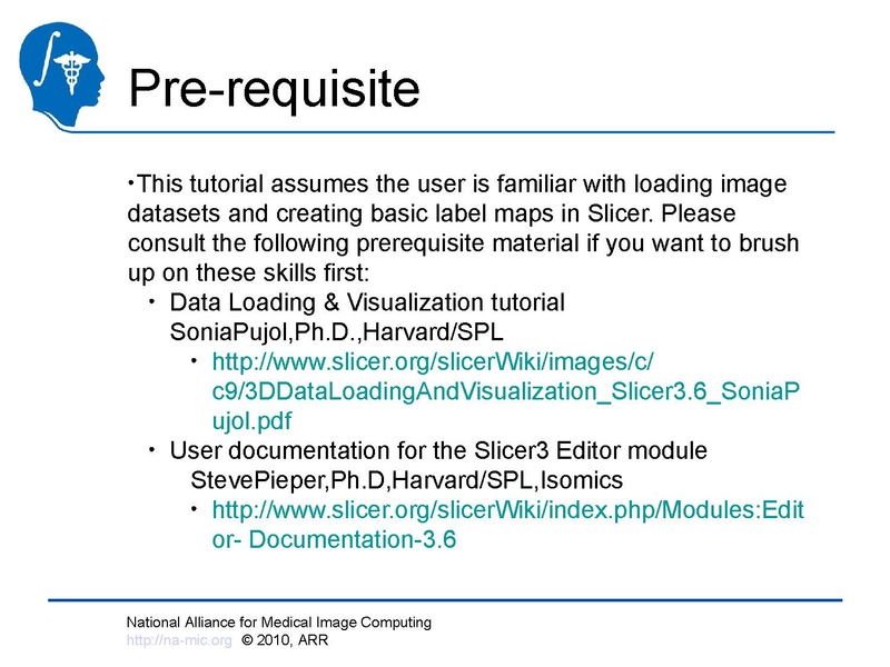 File:Longitudinal Lesion Comparison TutorialContest 2010.pdf