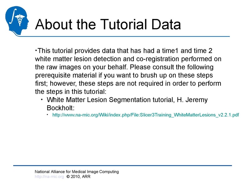 File:Longitudinal Lesion Comparison TutorialContest 2010.pdf