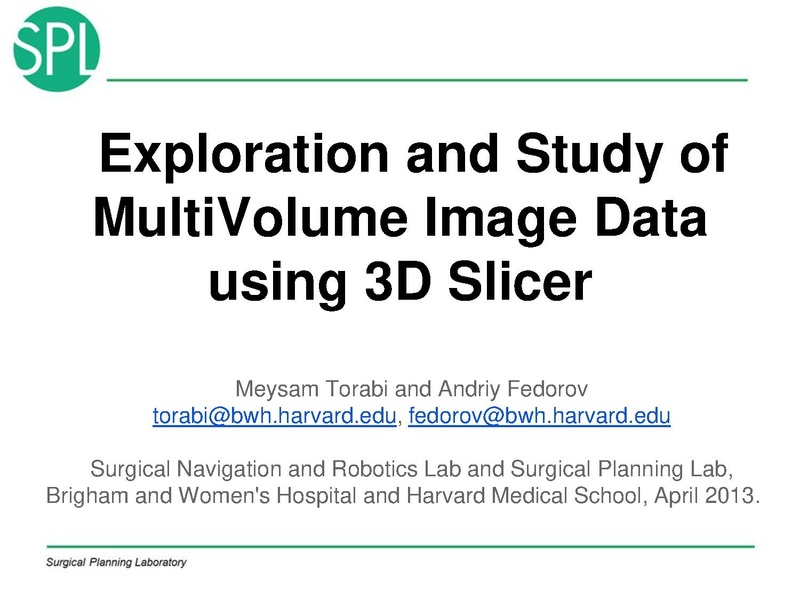 File:MultiVolumeExplorer Meysam SNR-April2013-v4.pdf