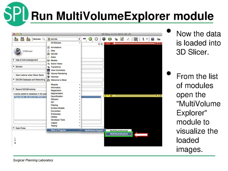 File:MultiVolumeExplorer Meysam SNR-April2013-v4.pdf