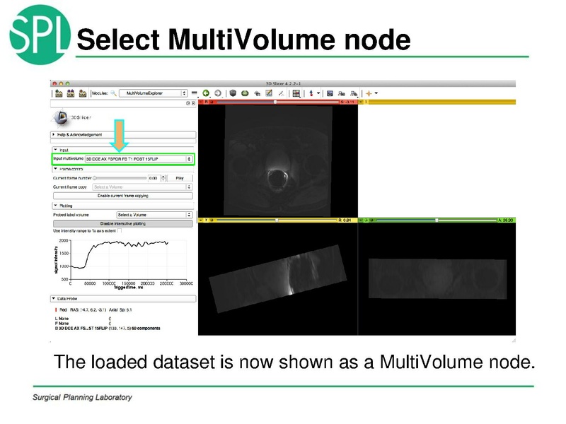 File:MultiVolumeExplorer Meysam SNR-April2013-v4.pdf