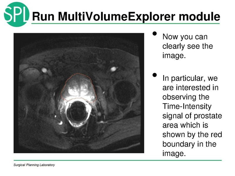 File:MultiVolumeExplorer Meysam SNR-April2013-v4.pdf