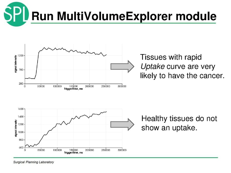 File:MultiVolumeExplorer Meysam SNR-April2013-v4.pdf